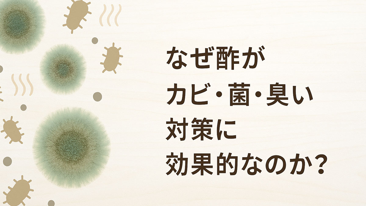 なぜ酢がカビ・菌・臭い対策に効果的なのかを問う見出しが右寄せで配置され、左側にはカビや菌、臭いをイメージした優しいトーンのイラストが描かれたナチュラルな背景の図解。