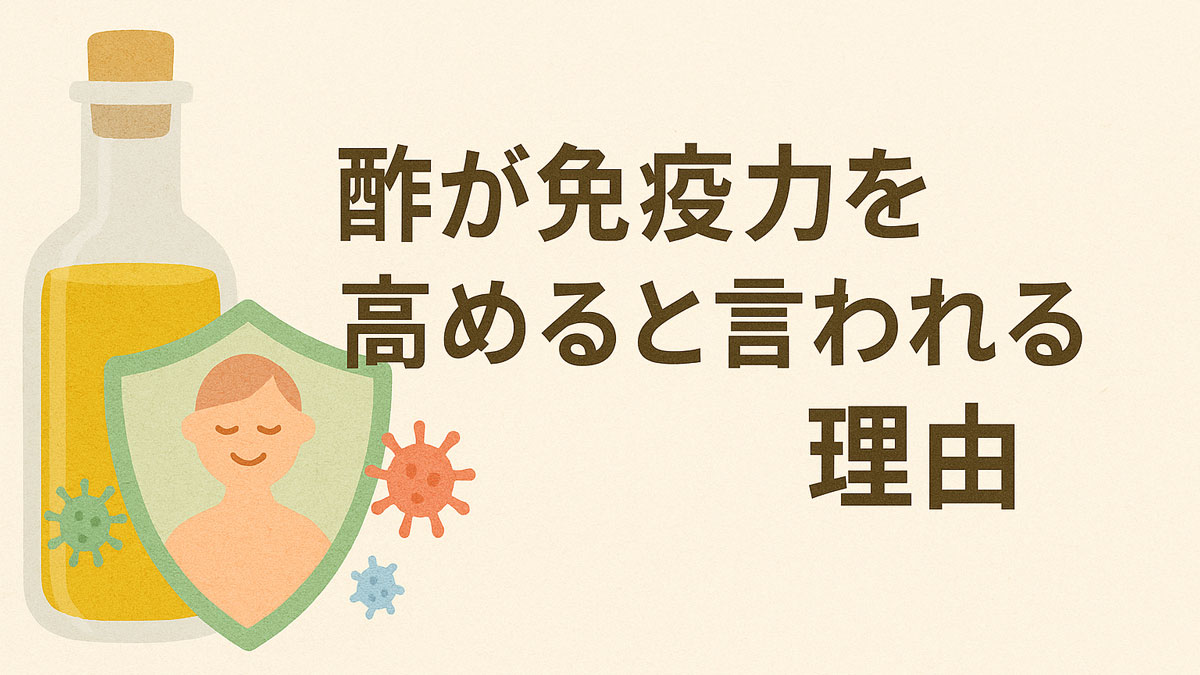 酢が免疫力を高める理由をテーマにした優しいデザインのイラスト。瓶に入った酢と、ウイルスから体を守る盾の中に笑顔の人が描かれており、右側に「酢が免疫力を高めると言われる理由」と日本語の文字。