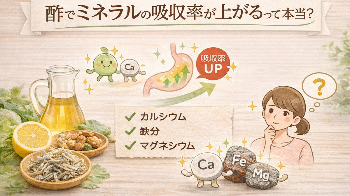 酢とレモン、小魚、ナッツなどミネラル豊富な食材を背景に、「酢でミネラルの吸収率が上がるって本当?」の文字と、カルシウム・鉄・マグネシウムの吸収アップを示した、ナチュラルで優しい雰囲気のイラスト画像